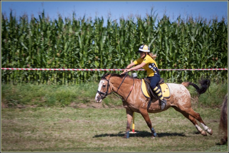 Mounted Games 027
